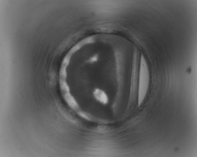 X0000113940641200910161916