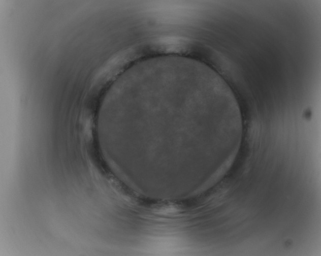 X0000113940643200910161916