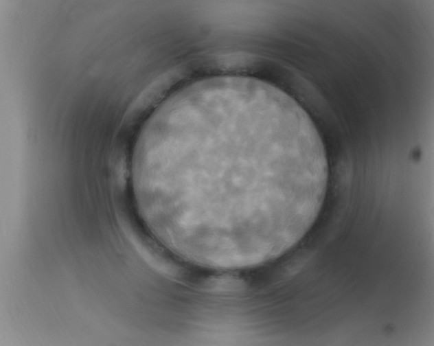 X0000113940644200910161916