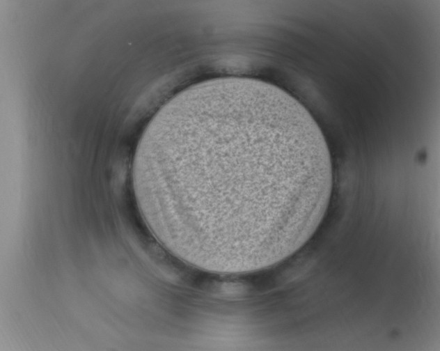 X0000113940645200910161916