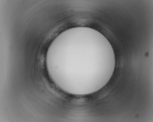 X0000113940646200910161916