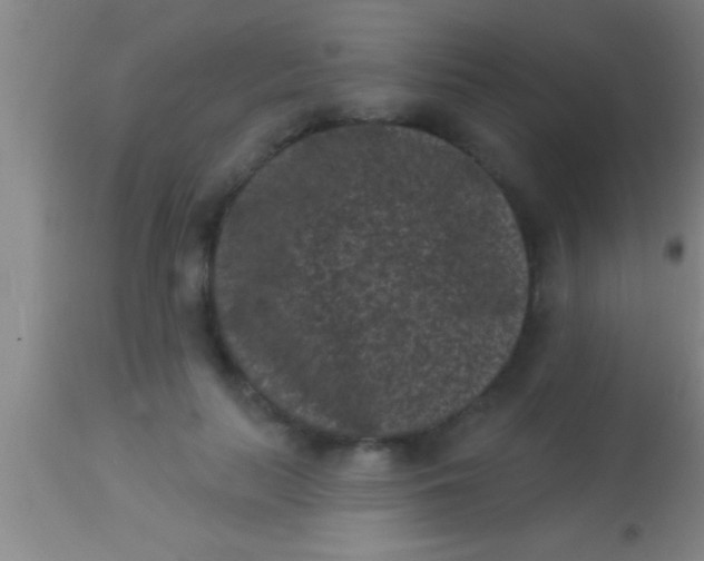 X0000113940647200910161916