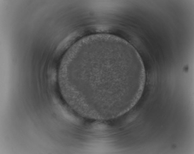 X0000113940648200910161916
