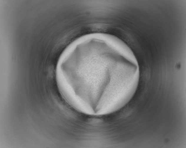 X0000113940649200910161916