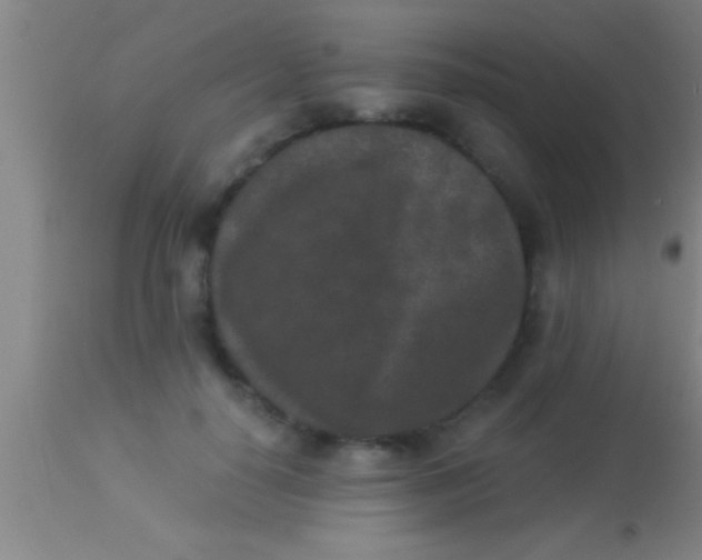 X0000113940650200910161916