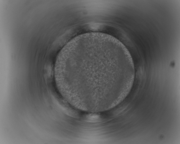 X0000113940651200910161916