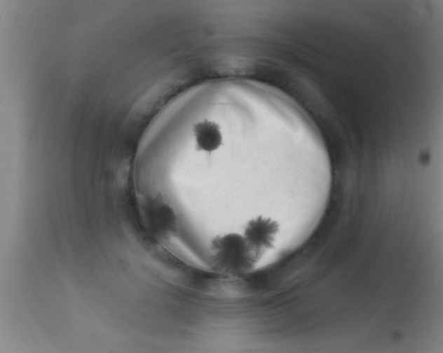 X0000113940652200910161916