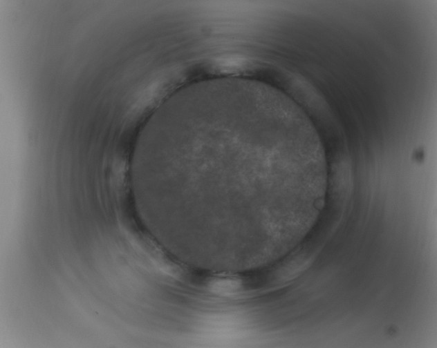 X0000113940653200910161916