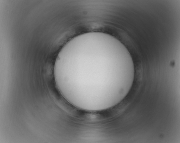 X0000113940654200910161916
