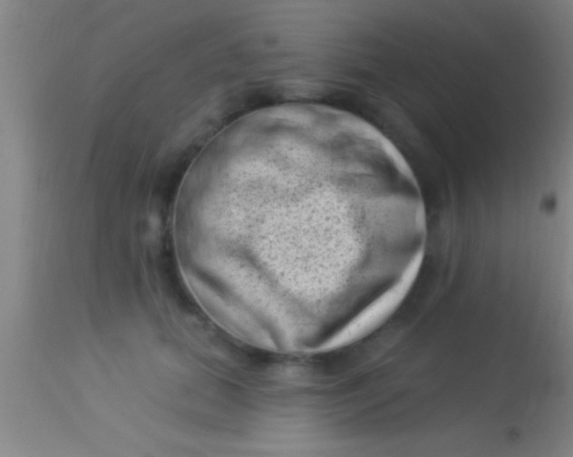 X0000113940655200910161916