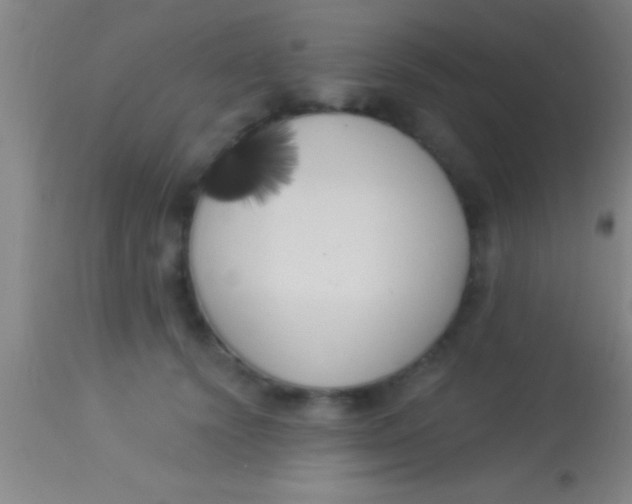 X0000113940656200910161916