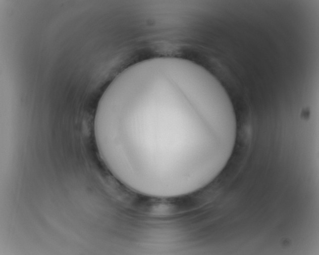 X0000113940658200910161916