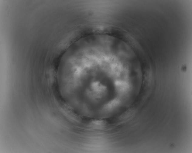 X0000113940659200910161916