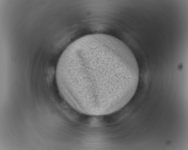 X0000113940660200910161916