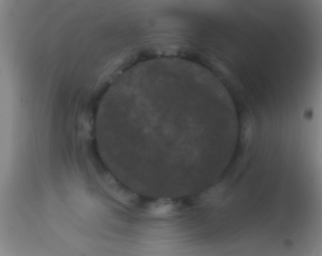 X0000113940661200910161916