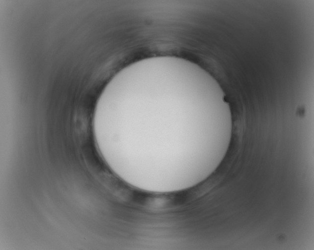 X0000113940662200910161916