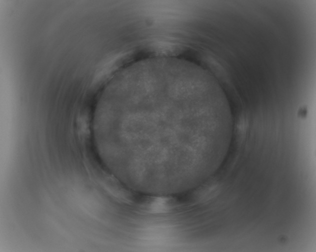 X0000113940663200910161916