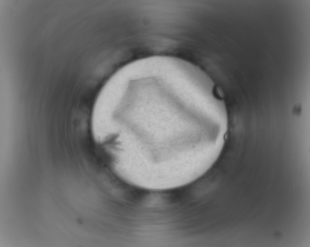 X0000113940664200910161916