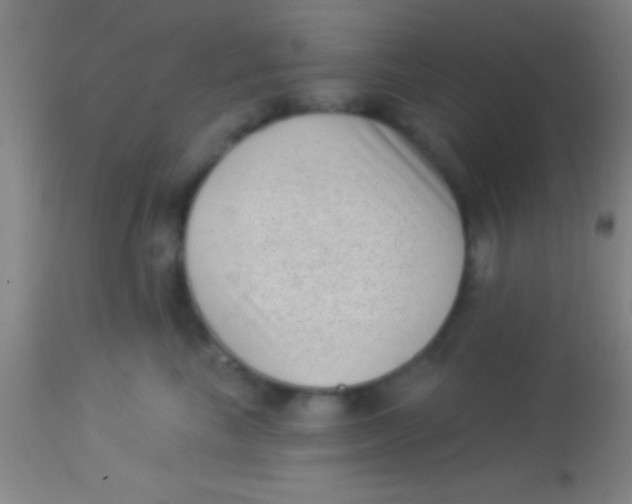 X0000113940665200910161916
