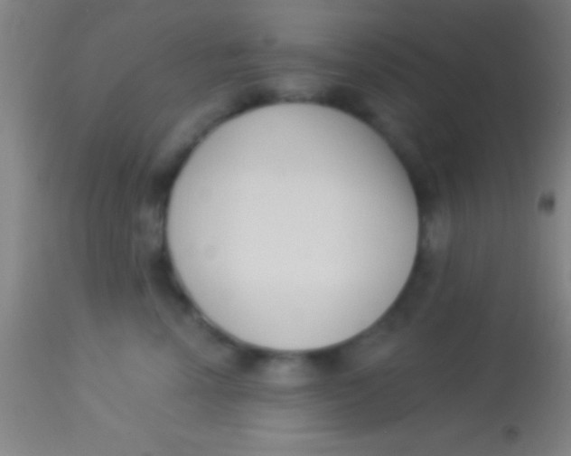 X0000113940666200910161916