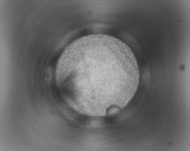X0000113940667200910161916
