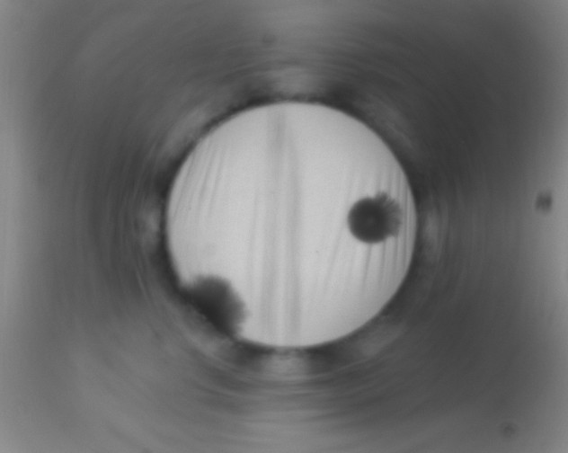X0000113940668200910161916