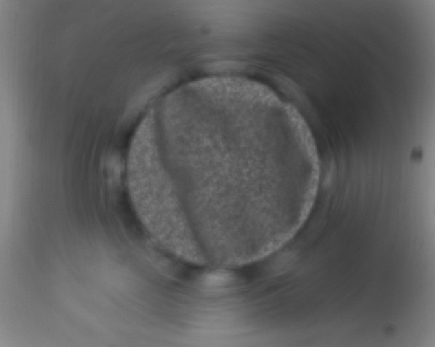 X0000113940669200910161916
