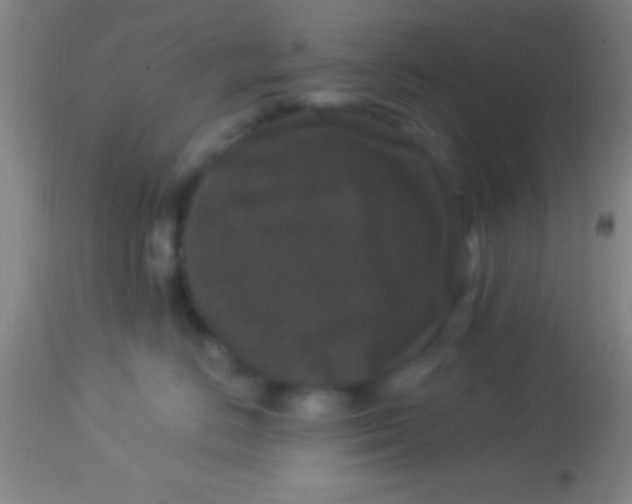 X0000113940670200910161916