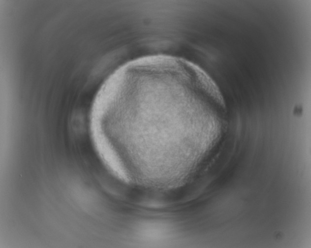X0000113940671200910161916
