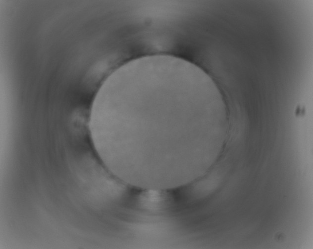 X0000113940672200910161916
