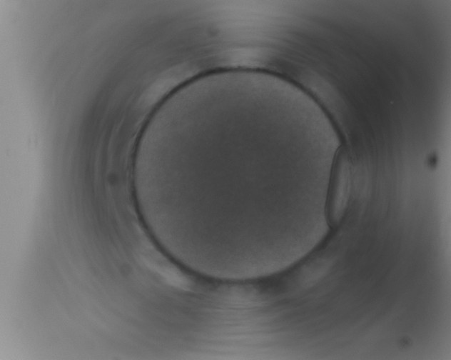 X0000113940673200910161916