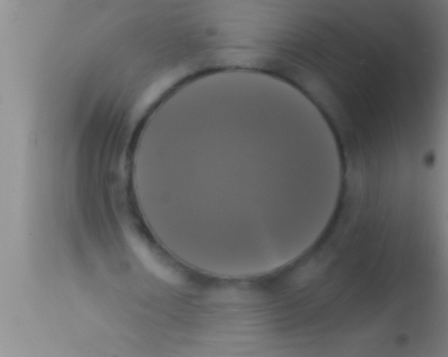 X0000113940674200910161915