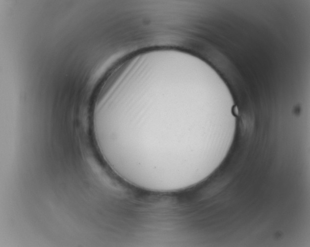 X0000113940676200910161915