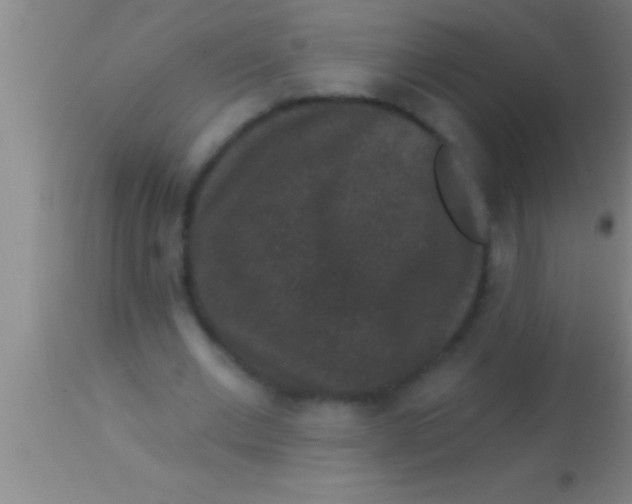 X0000113940677200910161915