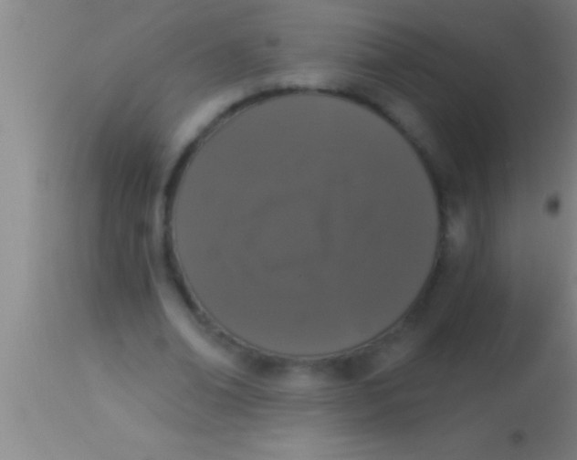 X0000113940678200910161915