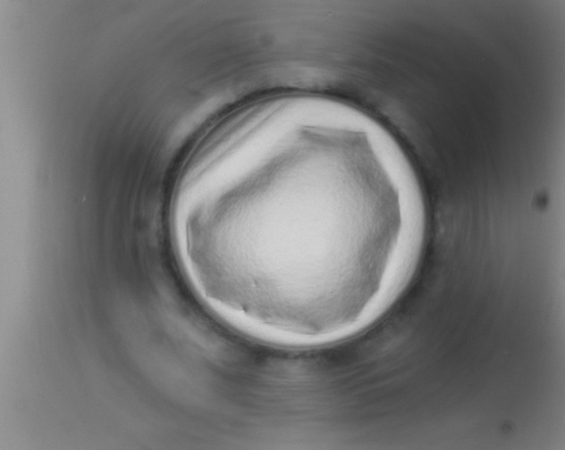 X0000113940679200910161915