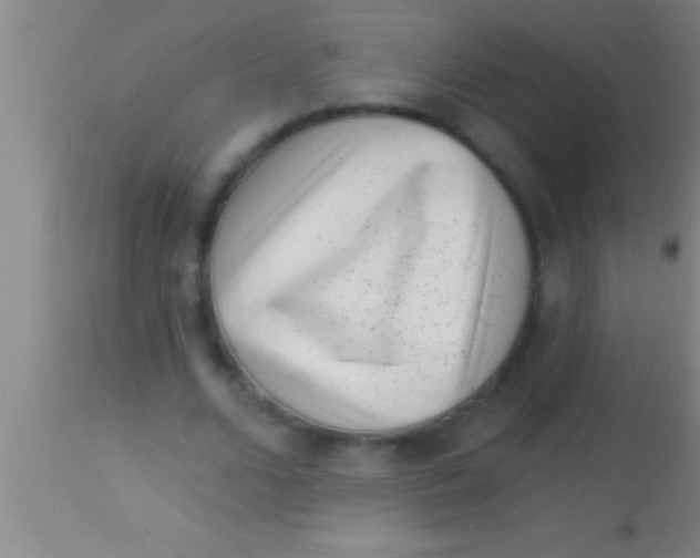 X0000113940680200910161915
