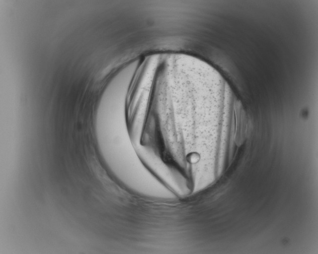 X0000113940681200910161915