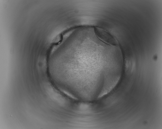 X0000113940684200910161915