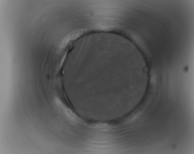 X0000113940685200910161915