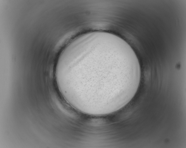 X0000113940686200910161915