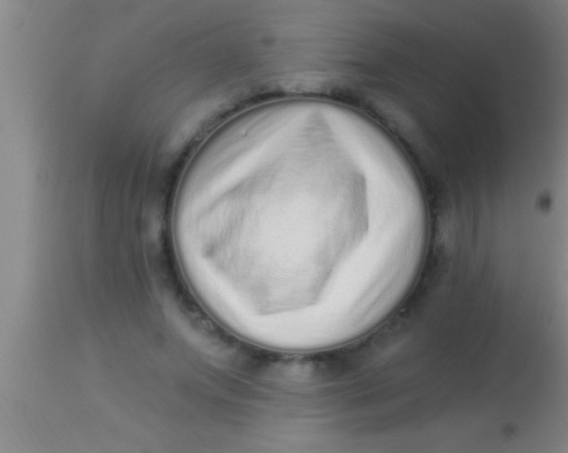 X0000113940687200910161915