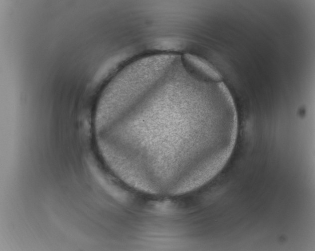 X0000113940688200910161915