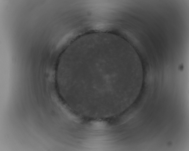 X0000113940689200910161915