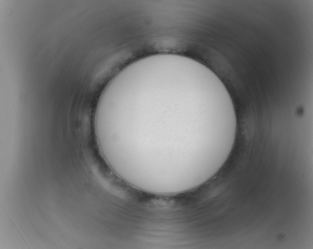X0000113940690200910161915