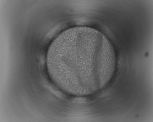 X0000113940691200910161915