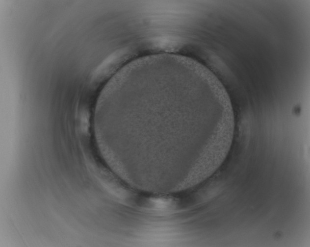 X0000113940693200910161915