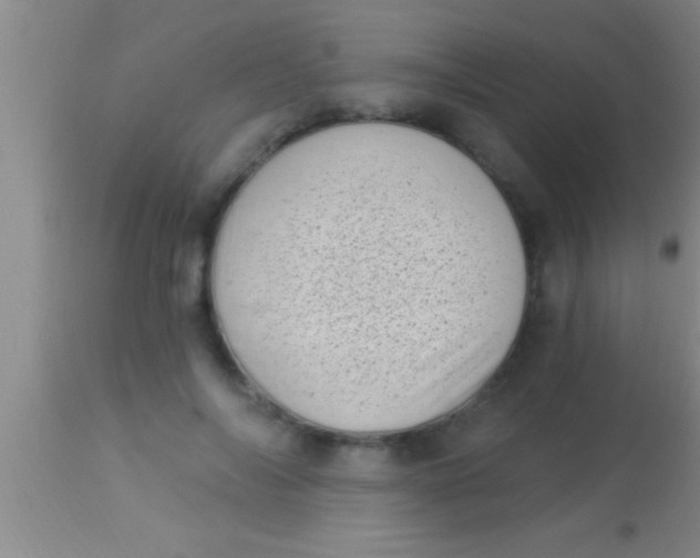 X0000113940694200910161915