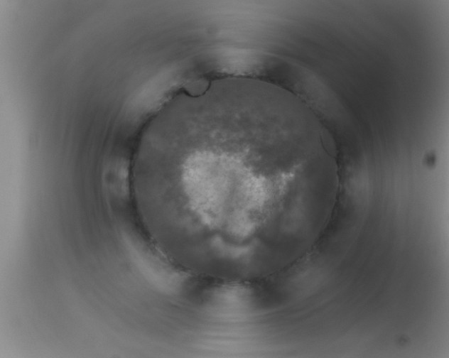 X0000113940696200910161915