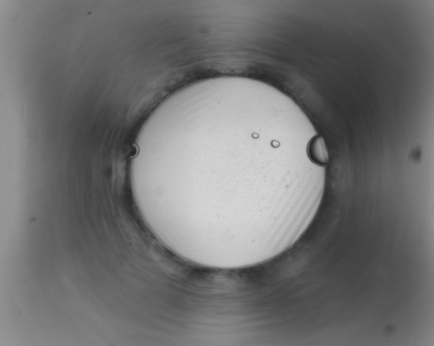 X0000113940697200910161915